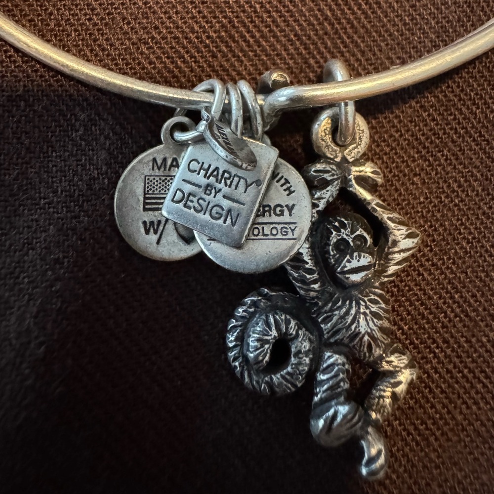 Alex and Ani Silver Charm Bracelet MONKEY